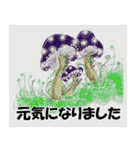 ふしぎなきのこ（個別スタンプ：33）
