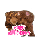 マリースタンプ（個別スタンプ：4）