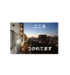 シュールな気分（個別スタンプ：4）
