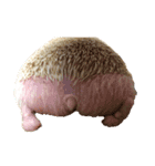 ハリネズミ小梅（個別スタンプ：4）