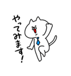 ビジネス白ネコ（個別スタンプ：6）