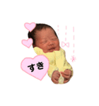 ちびまるスタンプ_1（個別スタンプ：15）