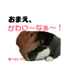 渉くんのスタンプ②（個別スタンプ：4）