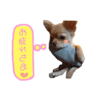 ガンモStyle（個別スタンプ：12）