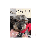 しゅなの365日（個別スタンプ：11）