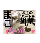 まこら先生 語録（個別スタンプ：1）