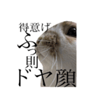 まこら先生 語録（個別スタンプ：2）