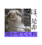 まこら先生 語録（個別スタンプ：13）