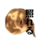 まこら先生 語録（個別スタンプ：15）
