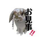 まこら先生 語録（個別スタンプ：18）