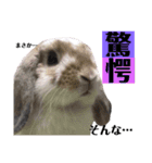 まこら先生 語録（個別スタンプ：21）
