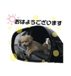 く ぅ ち ゃ ん（個別スタンプ：2）