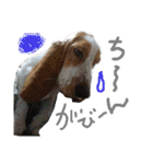 MOHALAな仲間（個別スタンプ：12）