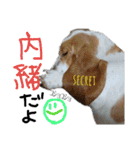 MOHALAな仲間（個別スタンプ：16）