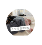しんじゅのわんことしんじゅ2（個別スタンプ：4）
