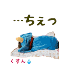 ヨーキートッポ君の日常5（個別スタンプ：3）