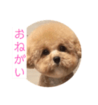 ニア氏 ボバ氏 2（個別スタンプ：3）