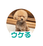 ニア氏 ボバ氏 2（個別スタンプ：5）