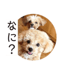 ニア氏 ボバ氏 2（個別スタンプ：8）