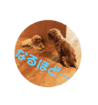 ニア氏 ボバ氏 2（個別スタンプ：10）