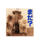 ニア氏 ボバ氏 2（個別スタンプ：18）