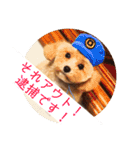 ニア氏 ボバ氏 2（個別スタンプ：21）