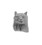 でんちゃんの鉛筆画（個別スタンプ：8）