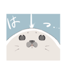 幼いあざらし（個別スタンプ：3）