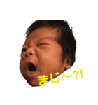 はるこむ2（個別スタンプ：9）