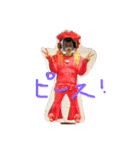 こたと、たまにミイ（個別スタンプ：10）