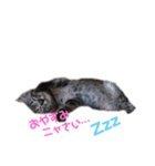 KとSとKの物語（個別スタンプ：2）