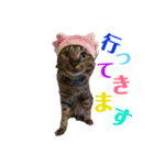 KとSとKの物語（個別スタンプ：9）
