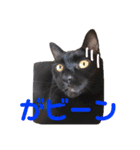 KとSとKの物語（個別スタンプ：19）