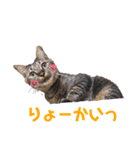 KとSとKの物語（個別スタンプ：20）