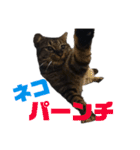 KとSとKの物語（個別スタンプ：21）