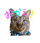 KとSとKの物語（個別スタンプ：32）