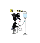 Myシュナ ～ 病院編（個別スタンプ：7）