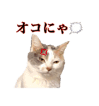 ユキさんスタンプ(其の一)（個別スタンプ：4）