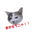 ユキさんスタンプ(其の一)（個別スタンプ：7）