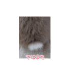 うさぎのまろちゃん写真スタンプ（個別スタンプ：40）