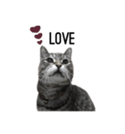 my cat is goe！（個別スタンプ：7）