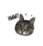 my cat is goe！（個別スタンプ：13）