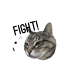 my cat is goe！（個別スタンプ：15）