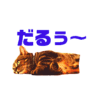 のりたけコレクションvol.2（個別スタンプ：16）
