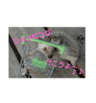 サリーネズミ（個別スタンプ：2）