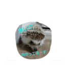 サリーネズミ（個別スタンプ：7）
