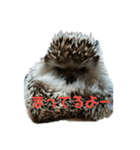 サリーネズミ（個別スタンプ：8）
