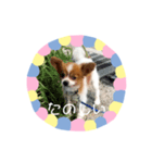 ちっぷくん。（個別スタンプ：3）