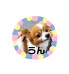 ちっぷくん。（個別スタンプ：4）