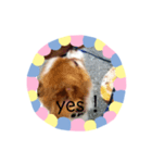 ちっぷくん。（個別スタンプ：7）